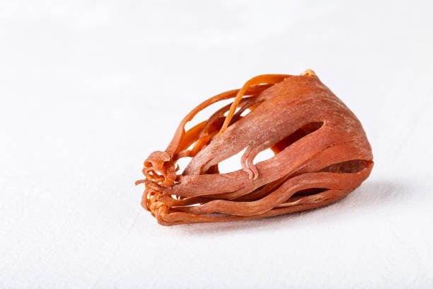 Dried whole mace on white concrete background close-up with copyspace. Indian spice macro.