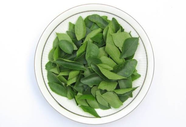 Curry leaves in a plate on white background