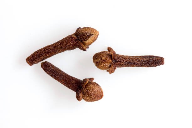 "Cloves (Syzygium aromaticum) are the aromatic dried flower buds of a tree in the family Myrtaceae. Cloves are native to Indonesia and used as a spice in cuisines all over the world. Cloves are harvested primarily in Indonesia, Madagascar, Zanzibar, Pakistan, and Sri Lanka; they are also grown in India under the name Laung.Due to the Indonesian influence, the use of cloves is widespread in the Netherlands. Cloves are used in cheeses, often in combination with cumin. Cloves are an essential ingredient for making Dutch speculaas. Furthermore, cloves are used in traditional Dutch stews like hachee.This Picture is made in my Daylight Studio.Photographed with Canon 5dmkII in RAW 16bit and Adobe RGB and professionally processed.Related images:"