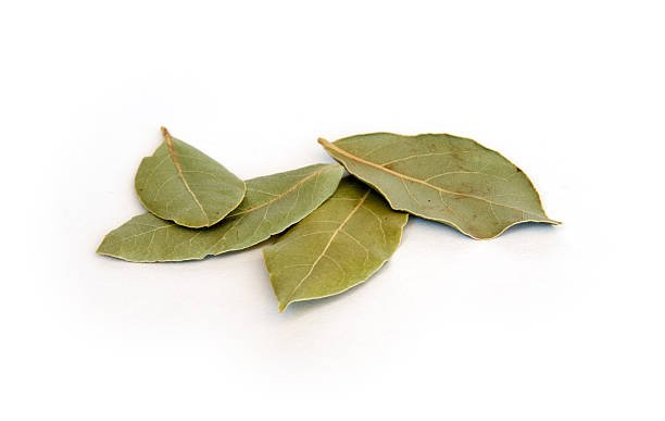 istockphoto-97997043-612x612